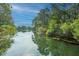Quiet pond reflects trees and blue sky of surrounding real estate, offering a sense of peaceful retreat at 1143 Sea Eagle Watch, Charleston, SC 29412