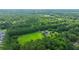 Lush aerial view of an estate with vast greenery, pool, and tree lined property at 120 Greenhill Pastures, Summerville, SC 29483