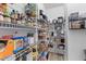 Walk-in pantry with storage shelves containing appliances, canned goods, boxes, and other items at 1439 Rivers Cotton Rd, Charleston, SC 29412