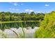 Picturesque pond surrounded by lush greenery, creating a serene and natural backdrop at 1439 Rivers Cotton Rd, Charleston, SC 29412