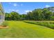 Spacious backyard with well-maintained lawn extending to a scenic treeline at 1439 Rivers Cotton Rd, Charleston, SC 29412