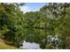 Beautiful pond surrounded by lush green trees and vegetation reflecting on the calm water at 1478 Diamond Blvd, Mount Pleasant, SC 29466
