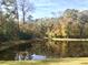Scenic pond surrounded by colorful trees and greenery at 1720 Restoration Ct, Charleston, SC 29414
