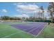 Outdoor tennis courts with green and purple surface surrounded by trees at 213 Crossandra Ave, Summerville, SC 29483