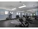 Modern gym featuring an array of weight training machines, weights, and floor-to-ceiling mirrors at 2241 Dewees Creek Dr, Mount Pleasant, SC 29466