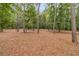 Secluded backyard featuring mature trees and natural ground cover, offering a tranquil retreat at 242 Cheyenne Rd, Summerville, SC 29483