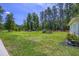 A spacious backyard with lush lawn, mature trees, and space for outdoor activities and relaxation at 242 Cheyenne Rd, Summerville, SC 29483