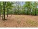A heavily wooded backyard offers a private, natural setting for this beautiful property at 242 Cheyenne Rd, Summerville, SC 29483