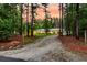 Long driveway to a stunning single story home surrounded by pine trees and luscious lawn at 242 Cheyenne Rd, Summerville, SC 29483
