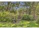 Lush backyard featuring mature trees, garden area, and peaceful fountain at 261 Palm St, Mount Pleasant, SC 29464