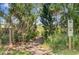 Scenic marsh walk path, open to residents only, through lush green vegetation at 261 Palm St, Mount Pleasant, SC 29464