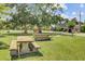 Park amenities include picnic tables and recreational space for relaxation and outdoor activities at 261 Palm St, Mount Pleasant, SC 29464
