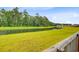 Beautiful tranquil pond reflecting the surrounding trees and sky, creating a serene outdoor space at 493 Spanish Wells Rd, Summerville, SC 29486