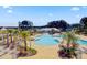 Aerial view of a community pool, surrounded by palm trees and ample lounge space at 493 Spanish Wells Rd, Summerville, SC 29486