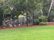 A backyard view with a black fence, lush greenery, and well-manicured lawn at 544 Two Mile Run, Johns Island, SC 29455