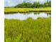 Beautiful marsh view featuring grassy waterbanks and a serene waterway at 544 Two Mile Run, Johns Island, SC 29455