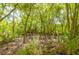 Lush, wooded property, shaded by mature trees, showcases the natural landscape and serene environment at 544 Two Mile Run, Johns Island, SC 29455