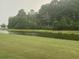 Scenic view of the backyard pond with lush green grass and mature trees in the background at 556 Sea Foam St, Summerville, SC 29486