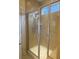Modern shower featuring glass doors, chrome fixtures, and a tiled surround at 556 Sea Foam St, Summerville, SC 29486