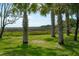 Picturesque community view with palm trees, marsh, and a tranquil landscape at 591 Island Walk East, Mount Pleasant, SC 29464