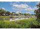 Picturesque view of the neighborhood waterway, complemented by lush vegetation and a tranquil atmosphere at 774 Creekside Dr, James Island, SC 29412