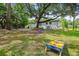 Expansive backyard with cornhole set featuring lush lawn, play set, and mature trees at 111 Circle Dr, Summerville, SC 29485