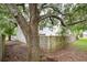 Exterior view of the home showing the yard, privacy fence, and mature trees at 1161 Monaco Dr, Mount Pleasant, SC 29464