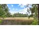 Scenic view of a marshland with tall grass, trees, and a blue sky in the background at 1417 S Jetties Ct, Mount Pleasant, SC 29466