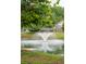 Fountain in the middle of the pond, trees and manicured lawn at 1505 Blaze Ln, Charleston, SC 29412