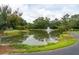 Scenic pond with fountain feature, green trees, and winding pathway at 1505 Blaze Ln, Charleston, SC 29412
