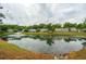 Picturesque pond view featuring a serene fountain, surrounded by lush greenery and trees at 1505 Blaze Ln, Charleston, SC 29412