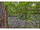 Picturesque backyard view with lush foliage and a serene creek, offering a tranquil and natural setting at 1616 Dotterers Run, Charleston, SC 29414