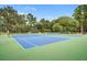Tennis courts are bordered by mature trees and well-maintained greenery at 163 Golfview Ln, Summerville, SC 29485