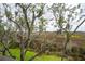 Landscaped yard with trees and marsh views at 1809 Rushland Grove Ln, Johns Island, SC 29455