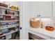 Well-organized pantry with ample shelving and storage solutions at 1903 Bolden Dr, Mount Pleasant, SC 29466
