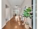 Inviting entryway showcases hardwood floors and a decorative plant, leading into the home's open living spaces at 241 Clayburne Dr, Goose Creek, SC 29445
