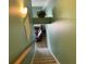 Downward view of carpeted stairs leading to a living room with a comfortable sofa at 287 Driftwood Ln, Edisto Beach, SC 29438