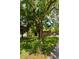 The front yard features a mailbox with '815' address, framed by a lush tree and plants, creating a welcoming scene at 815 Harbor Pl Dr, Charleston, SC 29412