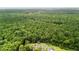 Aerial view of multiple homes with lush greenery and mature trees, offering a serene setting at 1431 Whispering Oak Trl, Mount Pleasant, SC 29466