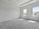 Bright bedroom with two windows and plush gray carpet and tray ceiling at 205 Somerset Acres Dr, Summerville, SC 29486