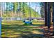 Community dog park featuring a grassy field, agility equipment, and surrounding trees at 209 Somerset Acres Dr, Summerville, SC 29486