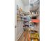 Walk-in pantry provides ample storage at 2828 Wagner Way, Mount Pleasant, SC 29466