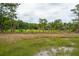 Expansive marshland vista featuring a verdant golf course with palm trees, creating a picturesque and serene landscape at 2834 Parkers Landing Rd, Mount Pleasant, SC 29466