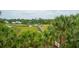 Scenic view of marshland with a dock, boat, and natural beauty, framed by lush green palm trees in the foreground at 2834 Parkers Landing Rd, Mount Pleasant, SC 29466
