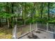 Wooded backyard view from the deck, enhanced with mature trees at 3005 Macbeth Creek Dr, Charleston, SC 29414
