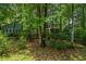 A backyard is enhanced with the lush landscape and mature trees at 3005 Macbeth Creek Dr, Charleston, SC 29414