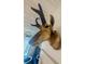 Antelope head wall decor adding character to the room at 4 Beaufain St # 207, Charleston, SC 29401