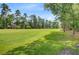 Lush green backyard view framed by mature trees providing shade and privacy, ideal for relaxing or entertaining at 4272 Persimmon Woods Dr, Charleston, SC 29420