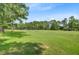 Expansive backyard view showcasing a lush green lawn and mature trees, perfect for outdoor activities at 4272 Persimmon Woods Dr, Charleston, SC 29420