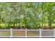 Scenic backyard view from a deck with lush greenery and mature trees at 4272 Persimmon Woods Dr, Charleston, SC 29420
